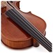 Stentor Messina Violin, 3/4, Instrument Only, Fingerboard