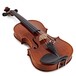 Stentor Messina Violin, 1/4, Instrument Only, Chinrest
