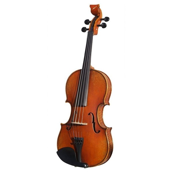 Bridge Golden Tasman Electro-Acoustic Viola