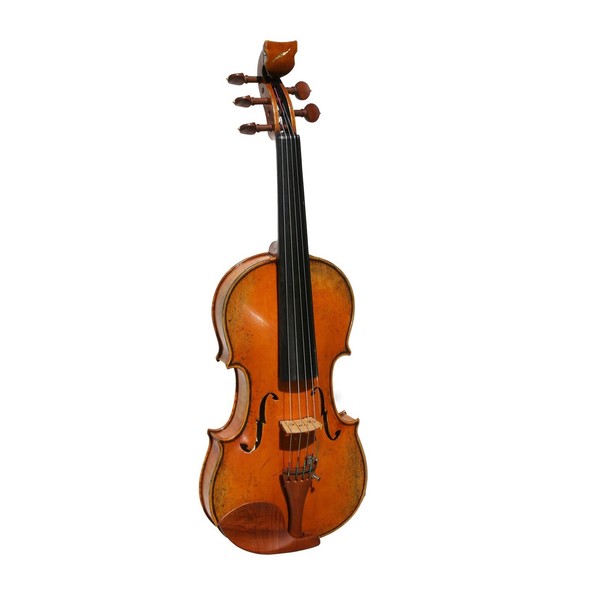 Bridge Golden Tasman Electro-Acoustic Violin, 5 String