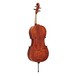 Hidersine Piacenza Cello Outfit, Full Size
