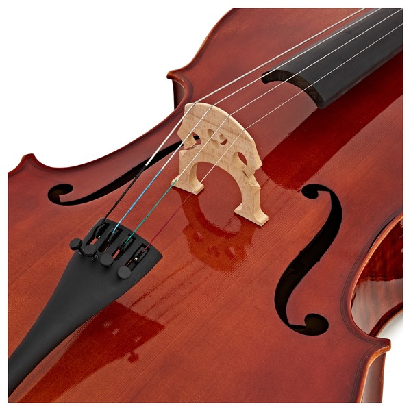 Hidersine Piacenza Cello Outfit, Full Size