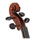 Stentor Messina Viola, 16'', Instrument Only, Scroll