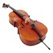 Stentor Messina Cello, Full Size, Instrument Only