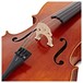 Stentor Messina Cello, Full Size, Instrument Only