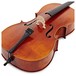 Stentor Messina Cello, 3/4, Instrument Only, Bridge