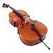 Stentor Messina Cello, 3/4, Instrument Only, Peg