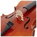Stentor Messina Cello, 3/4, Instrument Only, F Holes