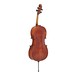 Stentor Messina Cello, 1/2, Instrument Only, Back