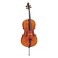 Stentor Messina Cello, 1/4, Instrument Only