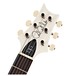 PRS DGT David Grissom, Antique White Moons #0296027
