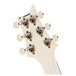 PRS DGT David Grissom, Antique White Moons #0296027