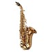 Yanagisawa SCWO20 Soprano Saxophone, Unlacquered