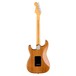 Fender American Pro II Stratocaster MN, Roasted Pine - Back