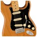 Fender American Pro II Stratocaster MN, Roasted Pine - Pickups