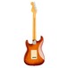 Fender American Pro II Stratocaster MN, Sienna Sunburst - Back