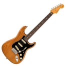 Fender American Professional II Stratocaster RW, Roasted Pine