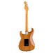 Fender American Pro II Stratocaster RW, Roasted Pine - Back