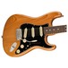 Fender American Pro II Stratocaster RW, Roasted Pine - Body