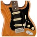 Fender American Pro II Stratocaster RW, Roasted Pine - Pickups