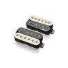 EMG Jim Root Daemonum Set, Zebra