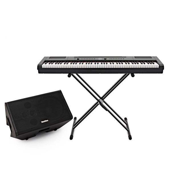 SubZero Praxis12 DSP Musicians Monitor