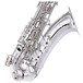 Yanagisawa TWO10S Tenor Saxophone, Silver