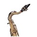 P Mauriat System 76 Tenor Saxophone, Vintage Finish