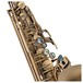 P Mauriat 67R Alto Saxophone, Dark Vintage