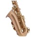 P Mauriat Le Bravo 200 Alto Saxophone, Gold Lacquer