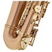 P Mauriat Le Bravo 200 Alto Saxophone, Gold Lacquer
