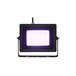 EUROLITE LED IP FL-30 Outdoor Floorlight, UV- Front