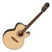 Epiphone PR-5E Electro Acoustic, Natural