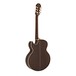 Epiphone PR-5E Electro Acoustic, Natural