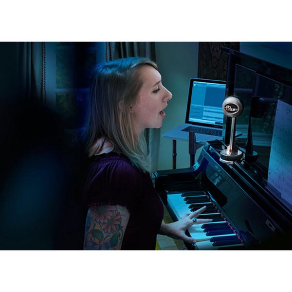 Blue Nessie Adaptive USB Mic