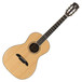 Alvarez AP70 Parlor Acoustic Guitar, Natural - main