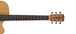 Alvarez RD12 Dreadnought Acoustic Guitar, Natural With Gigbag - neck