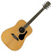 Alvarez RD17 Dreadnought Acoustic Guitar, Natural