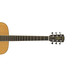 Alvarez RD17 Dreadnought Acoustic Guitar, Natural Neck