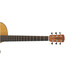 Alvarez RF17CE Folk OOO Electro-Acoustic Cutaway Guitar, Natural Neck