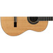 Alvarez AC70 Classical Guitar, Natural Lower Body