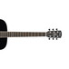 Alvarez AD60 Dreadnought Acoustic Guitar, Black Neck