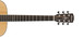 Alvarez AF70 Folk OOO Acoustic Guitar, Natural Neck