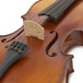 Violin String Set