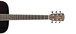 Alvarez RD16 Dreadnought Acoustic Guitar, Brown Neck