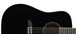 Alvarez RD16 Dreadnought Acoustic Guitar, Black Upper Body