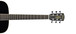 Alvarez RD16 Dreadnought Acoustic Guitar, Black Neck