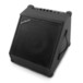 Alesis DM Dock Pro