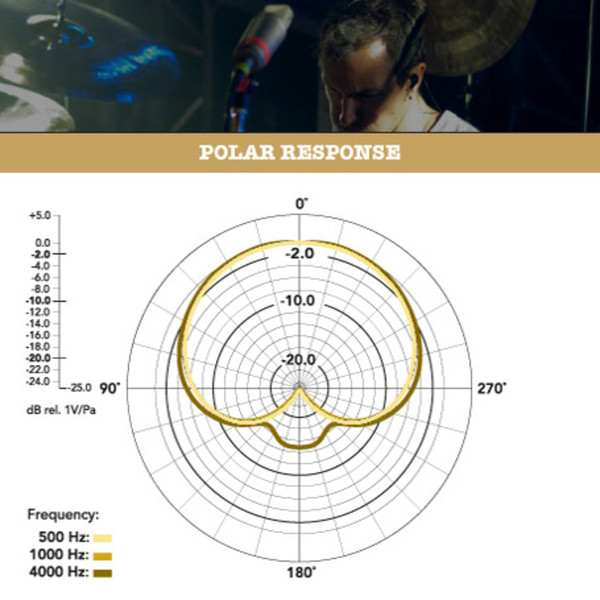 Rode NT1000 Studio Condenser Microphone - Polar Pattern