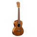 Martin T1K Ukulele with Gigbag